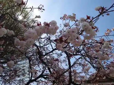 岡村天満宮(神奈川県)