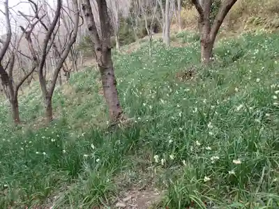 鐸比古鐸比賣神社旧社地の自然