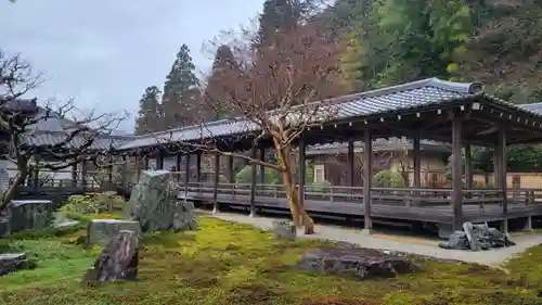 南禅寺の庭園