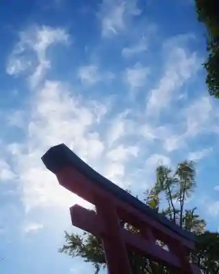 津島神社の鳥居