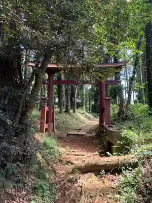 天満神社(千葉県)