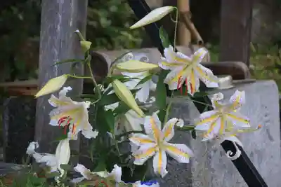 三春大神宮の手水舎
