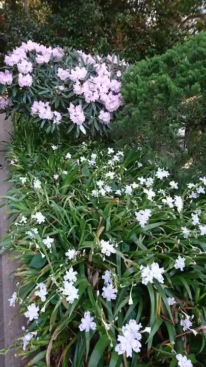 高千穂神社の自然