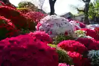 根津神社(東京都)