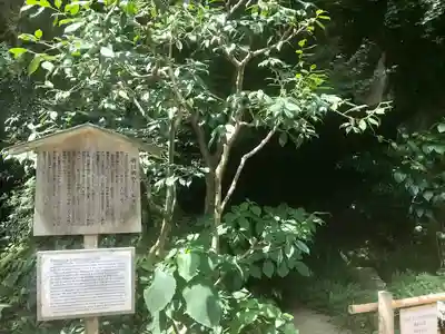 明月院(神奈川県)