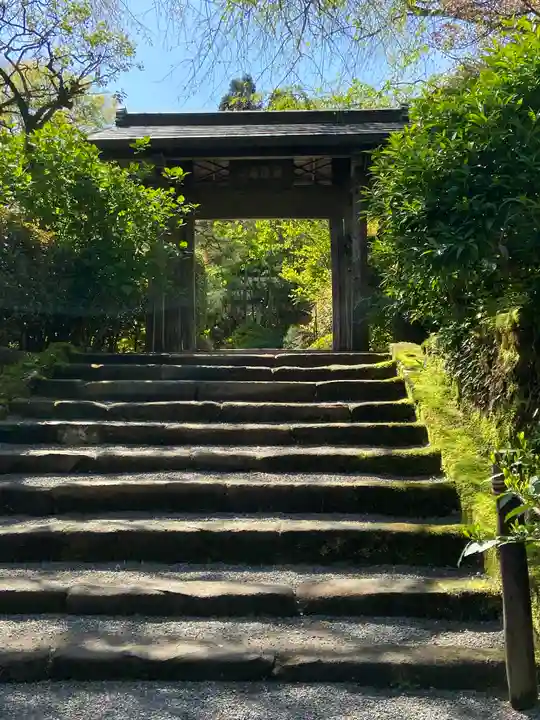 明月院の山門・神門