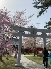 本荘神社(秋田県)