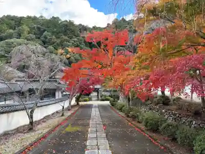 金剛寺(大阪府)