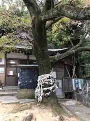 王子神社の自然