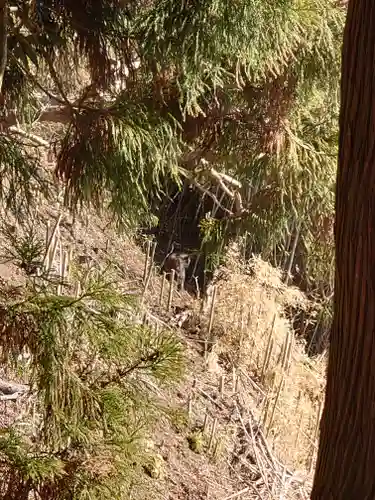 阿波々神社の動物