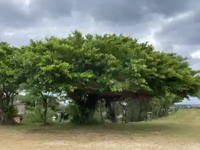 高千穂神社の自然