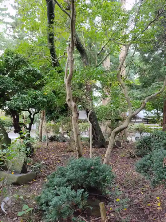 駒形神社(岩手県)