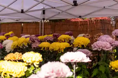 武水別神社(長野県)
