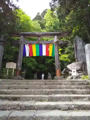 戸隠神社宝光社の鳥居
