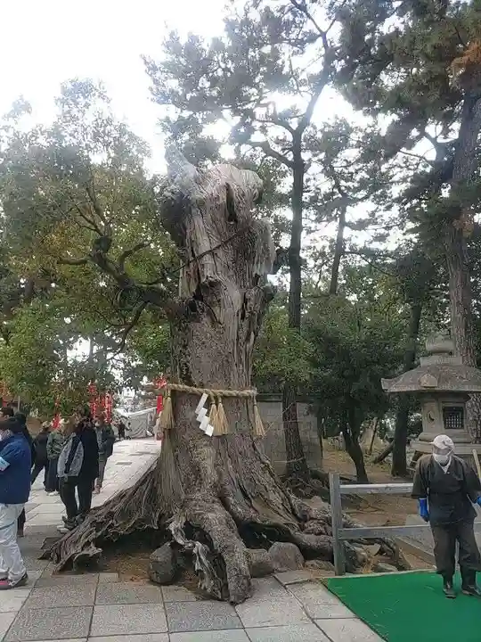 住吉大社(大阪府)
