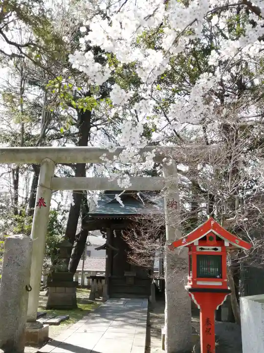 葛西神社の鳥居