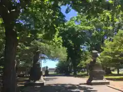 厚別神社の建物その他