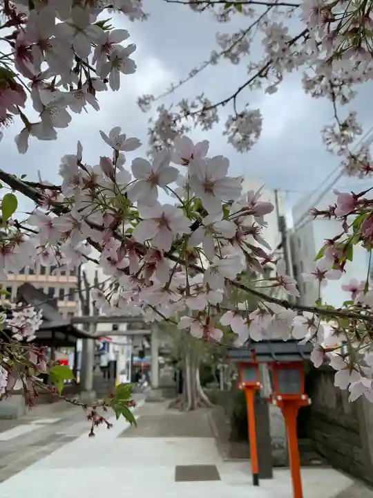 氷川鍬神社(埼玉県)