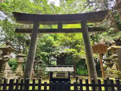 金刀比羅宮の鳥居