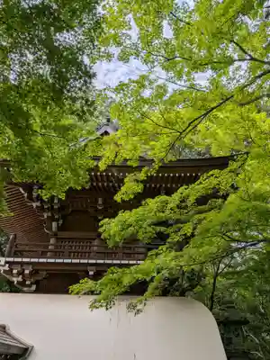 大正寺(東京都)