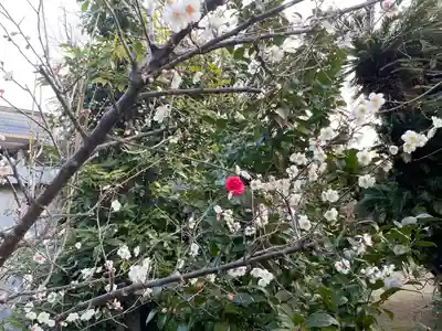 伊勢の国 四天王寺(三重県)