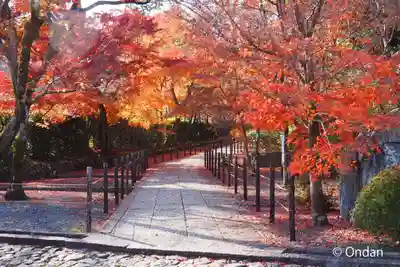 光明寺（粟生光明寺）(京都府)