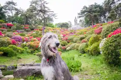 塩船観音寺(東京都)