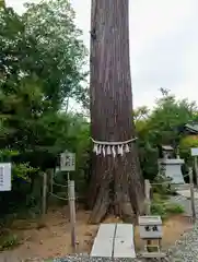 鶴峯八幡宮(千葉県)