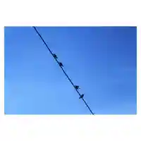 岐阜稲荷山本社(岐阜県)