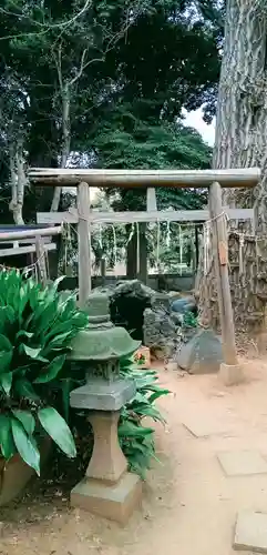 厳嶋神社の鳥居