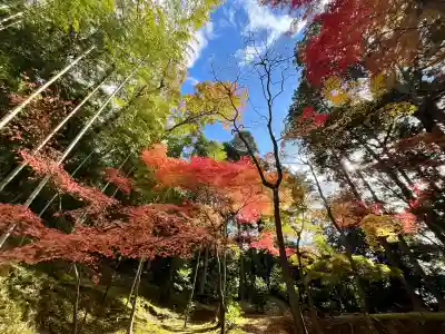 神峯山寺(大阪府)