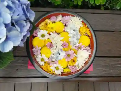 増上寺塔頭 三縁山 宝珠院の手水舎