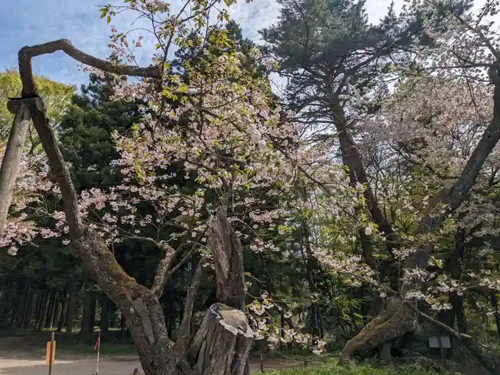 磐椅神社(福島県)