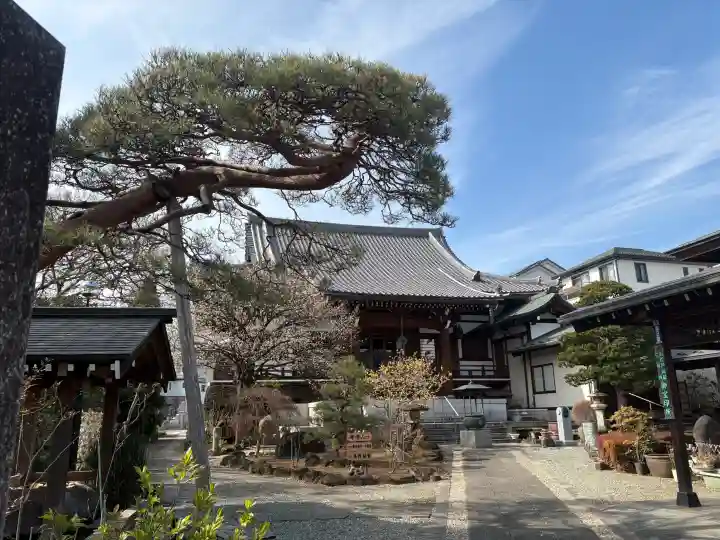天然寺の{uncategorized: "未分類", other: "その他", undefined: "問題あり", building: "その他建物", grave: "お墓", sacred_gate: "鳥居", guardian: "狛犬", statue: "像", buddha: "仏像", history: "歴史", nature: "自然", garden: "庭園", animal: "動物", pagoda: "塔", temizu: "手水舎", mountain_gate: "山門・神門", sanctuary: "本殿・本堂", subordinate: "末社・摂社", art: "芸術", scenery: "景色", jizo: "地蔵", ema: "絵馬", goshuin: "御朱印", omikuji: "おみくじ", items: "授与品その他", amulet: "お守り", goshuincho: "御朱印帳", eats: "食事", festival: "お祭り", votive_dance: "神楽", shichigosan: "七五三参", wedding: "結婚式", experience: "体験その他", initially: "初詣", around: "周辺", anti_infection: "感染症対策"}