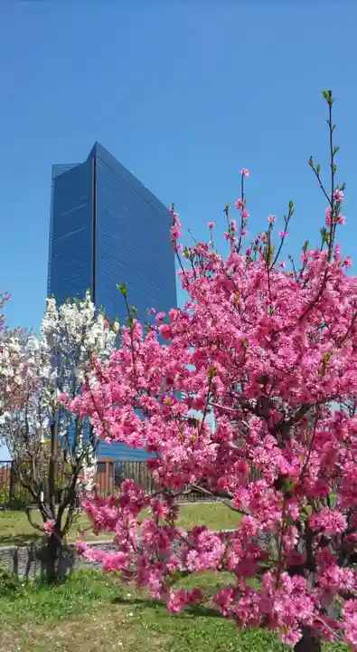 豊國神社(大阪府)