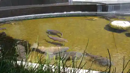 頂法寺（六角堂）の庭園