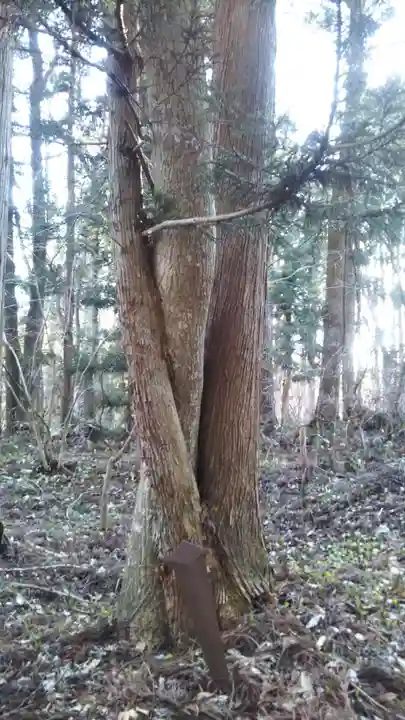 岩手山神社の自然