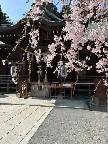 常陸第三宮　吉田神社の{uncategorized: "未分類", other: "その他", undefined: "問題あり", building: "その他建物", grave: "お墓", sacred_gate: "鳥居", guardian: "狛犬", statue: "像", buddha: "仏像", history: "歴史", nature: "自然", garden: "庭園", animal: "動物", pagoda: "塔", temizu: "手水舎", mountain_gate: "山門・神門", sanctuary: "本殿・本堂", subordinate: "末社・摂社", art: "芸術", scenery: "景色", jizo: "地蔵", ema: "絵馬", goshuin: "御朱印", omikuji: "おみくじ", items: "授与品その他", amulet: "お守り", goshuincho: "御朱印帳", eats: "食事", festival: "お祭り", votive_dance: "神楽", shichigosan: "七五三参", wedding: "結婚式", experience: "体験その他", initially: "初詣", around: "周辺", anti_infection: "感染症対策"}