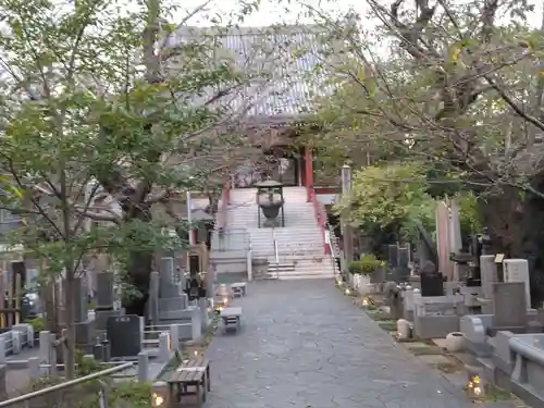 浄心寺(東京都)