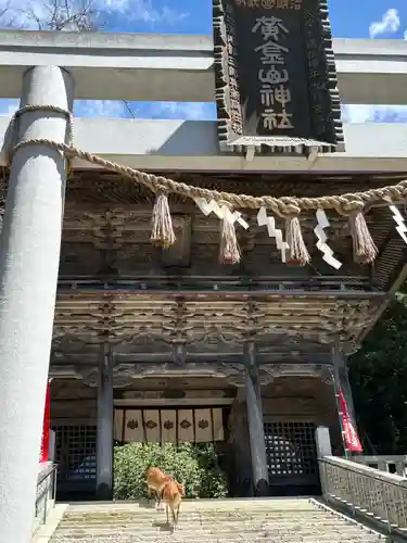金華山黄金山神社(宮城県)