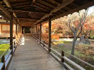 建仁寺（建仁禅寺）(京都府)