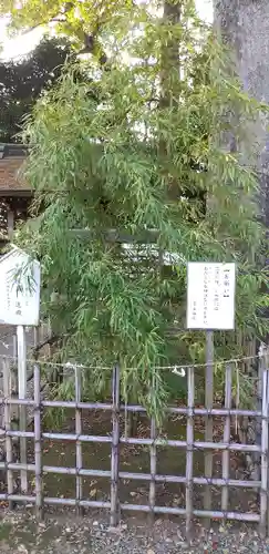 一言主神社の自然