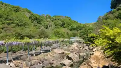 金蛇水神社(宮城県)