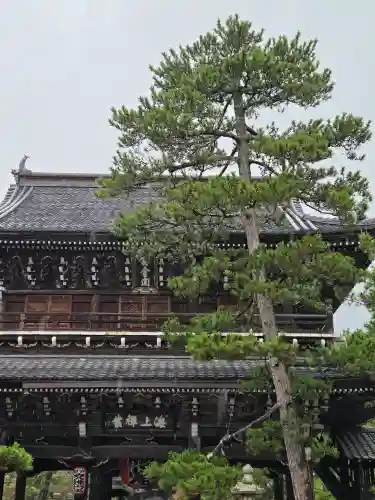 智恩寺(京都府)