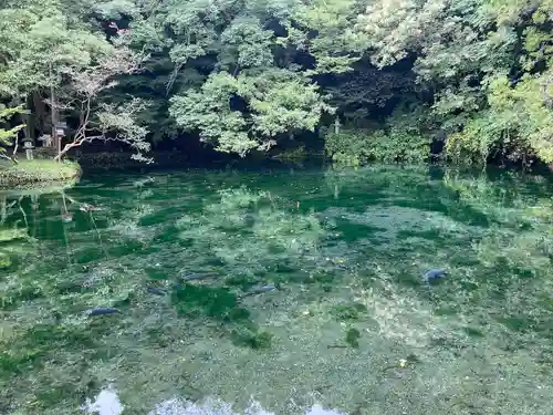 涌釜神社(栃木県)