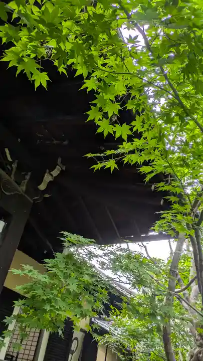 勝林寺(京都府)