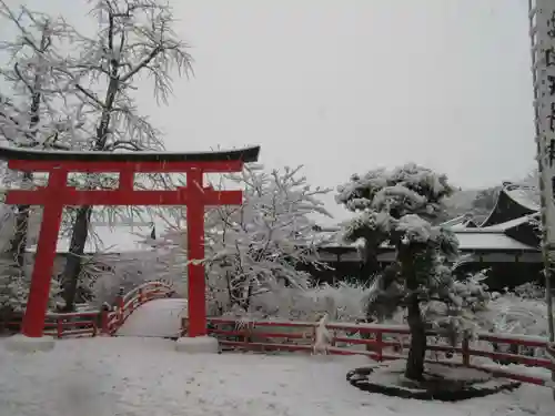 賀茂御祖神社（下鴨神社）の鳥居