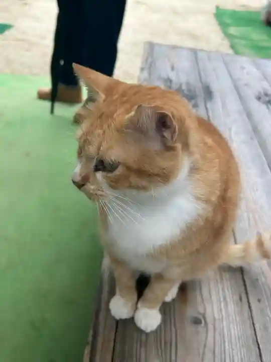 縣主神社(岡山県)