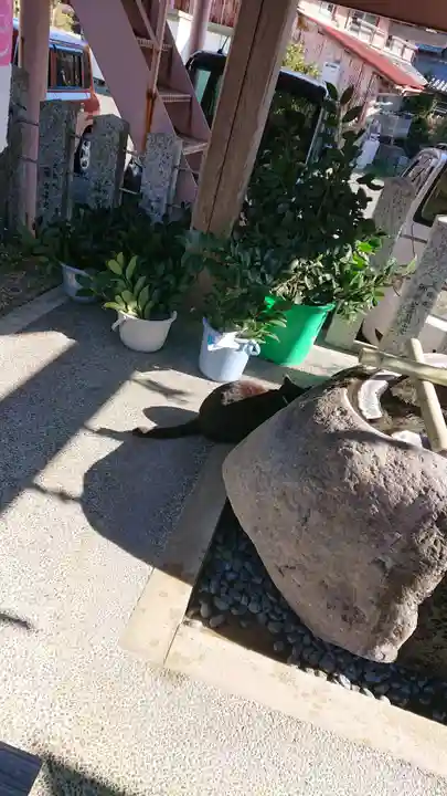 御嶽神社茅萱宮の動物