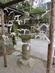 玉村八幡宮のおみくじ